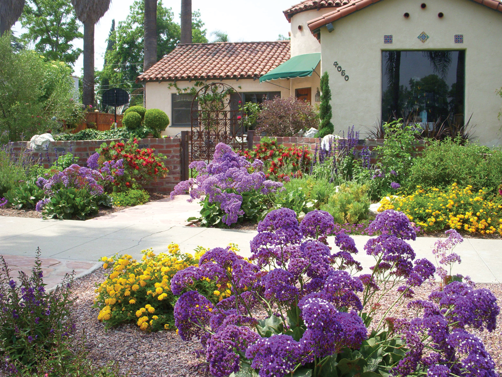 Drought Landscaping Ideas
